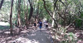 Caminhada meditativa no parque