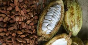 Chocolate mexicano: história e receita para adoçar a Páscoa