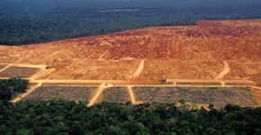 Noruega congela repasse de R$ 133 mi para preservação da Amazônia
