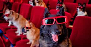 Cinema nos EUA é o 1º do mundo a permitir cães em sessões