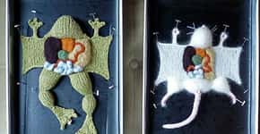 Artista cria animais em crochê para acabar com dissecação