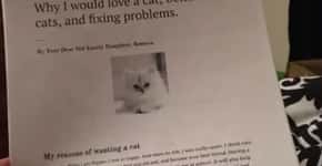Garota cria relatório de 6 páginas para convencer pais a ter gato