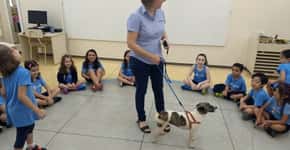 Escola em SP permite que alunos levem animais de estimação