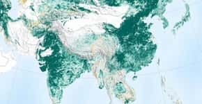 Estudo diz que Terra ficou mais ‘verde’ na última década