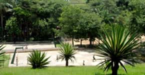 Faça um passeio pelo Parque Guarapiranga