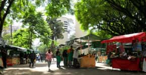 Pedalada visita hortas urbanas com cultivo orgânico em SP