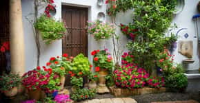 Em Córdoba, flores emolduram pátios para receber a primavera