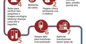 No Dia do Doador, veja como o sangue vira transfusão