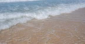 Areia da praia tem cem vezes mais coliformes fecais que a água