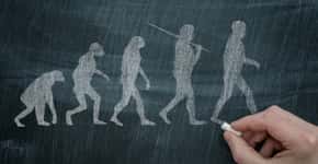 Corpo humano passou por quatro estágios de evolução, diz estudo
