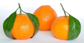 Cientistas querem tornar laranja geneticamente resistente à praga