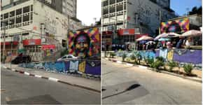 Dupla cria jardim urbano com plantas nativas na Vila Madalena