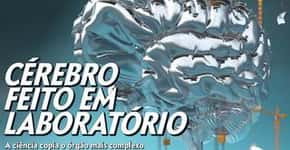 Poluição do ar causa depressão e raciocínio lento em roedores, diz estudo