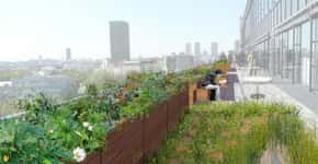 Plantações transformarão os charmosos telhados de Paris