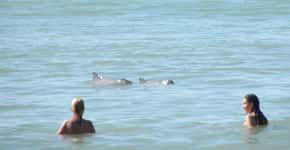 Praia de Pipa tem golfinhos, esportes radicais e vida noturna agitada