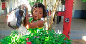Escola em Roraima incentiva crianças a preservar ambiente