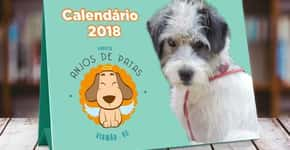 Projeto que resgata animais das ruas lança calendário exclusivo