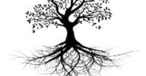 Simbologia das árvores