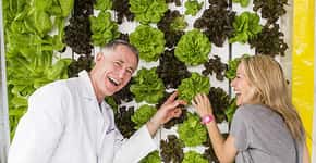 Casal americano cria protótipo simples para plantar horta hidropônica