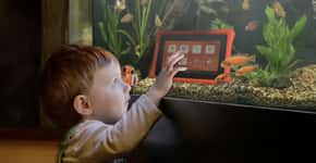 Empresa lança tablet para crianças que une educação e tecnologia