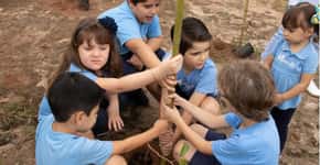 Crianças plantam 4 mil árvores em bairro de Ribeirão Preto (SP)