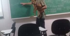 Professor dá aula com cadela no colo e o caso viraliza
