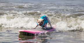 Conheça Huntington Beach, onde até os cães são surfistas