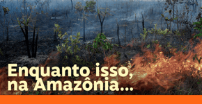 Jair Bolsonaro é louco, ignorante ou irresponsável?