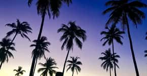 Sunset party e praia protegida são estrelas de resort na Bahia