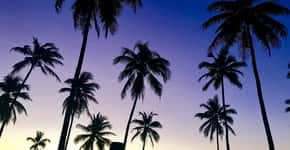 Sunset party e praia protegida são estrelas de resort na Bahia