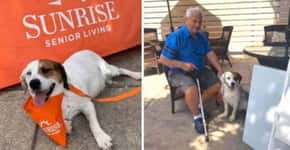 Cadela que seria sacrificada é adotada por lar para idosos