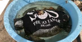 Tartaruga marinha entupida de lixo é resgatada no Projeto Tamar