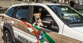 Batalhão da PM adota cachorro encontrado no lixão em SC