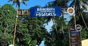 Roteiro de 4 dias pela Rota Ecológica dos Milagres, em Alagoas