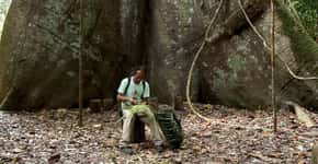 Árvore de 900 anos é atração em Santarém, no Pará