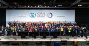 Sobre a COP 25 e o tempo de atuar: um balanço sobre a conferência