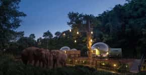 Resort na Tailândia tem quartos bolhas em meio a elefantes