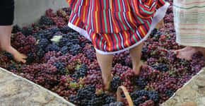 Vinícola em São Roque prepara pisa de uvas só para crianças