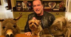 Arnold Schwarzenegger estimula autoisolamento e veganismo