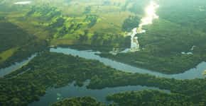 Pantanal registra recorde de queimadas no início de 2020