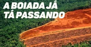 O desmatamento na Amazônia, a boiada e os retrocessos de Salles em meio à pandemia