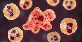 EUA emitem alerta após caso de infecção por ameba comedora de cérebro