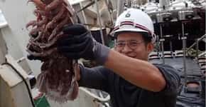 Cientistas encontram ‘barata gigante’ no fundo do mar na Indonésia