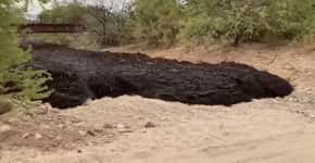 Rio de lama negra assusta moradores de cidade no Arizona