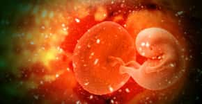 Microplástico é encontrado em placenta pela primeira vez