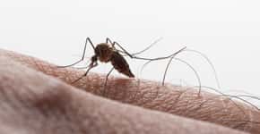 Dengue no RJ dispara 587%, com mais de 9 mil casos em três semanas