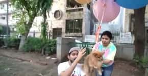 Youtuber faz cão ‘voar’ com balões de gás hélio e vai preso