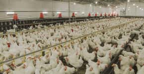China tem primeiro caso no mundo de gripe aviária H10N3 em humano