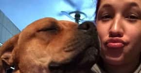 Mulher decide adotar pet e reencontra cão perdido há 2 anos