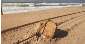 ‘Caixas misteriosas’ aparecem em praia de Salvador e intrigam banhistas